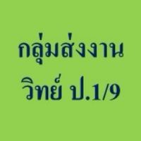 กลุ่มส่งงาน  วิทย์  ป.1/9