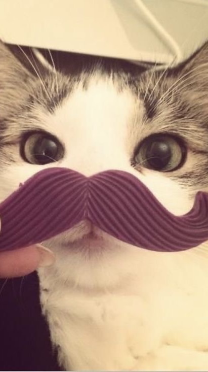 เอาไว้ลงผ้าใหม่/เเจ้งเลขร้านขนมเครป♥️🤏🏻