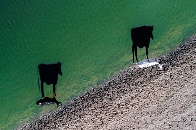 Foto Drone Terbaik di 2017