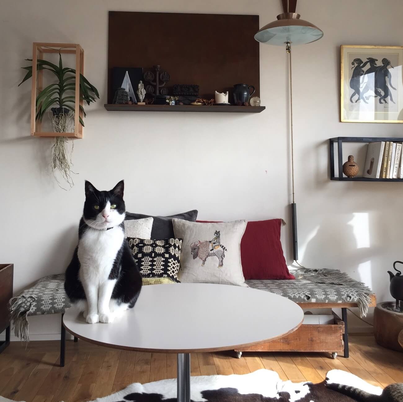 越智香住 猫 置物 石田ゆり子 石井佳苗