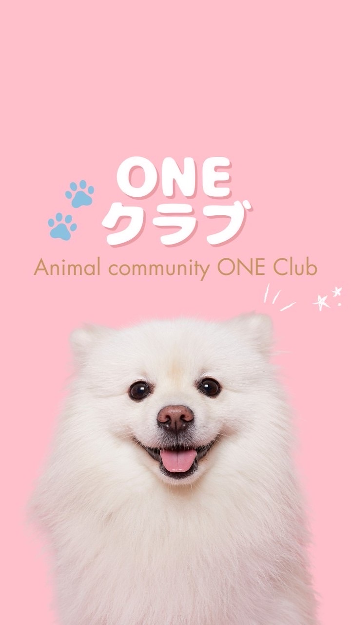 ONE-クラブ🐾｜動物と心でつながる場所
