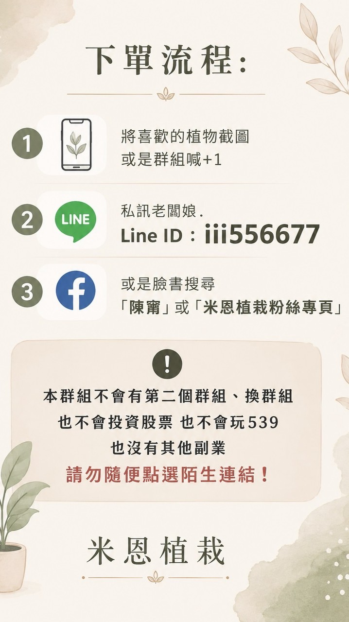Mien 米恩植栽🌿🌿