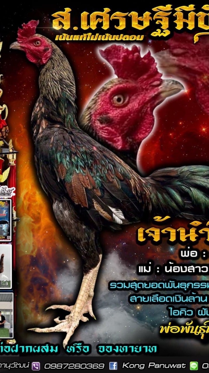 ส.เศรษฐีมีชัย