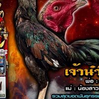 ส.เศรษฐีมีชัย