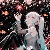 Happy 的棉花糖0.0