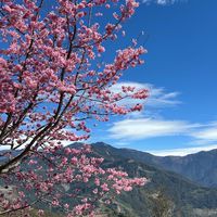 ✈️小資族旅遊專屬✈️大陸、韓國、日本，歐美、自由行…各地區好康促銷分享群