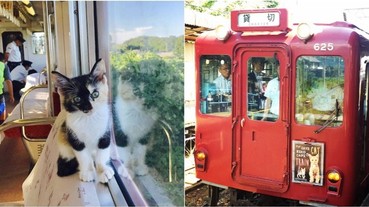 貓奴們的天堂啊！全球首發「貓咪滿載」列車行駛開幕 讓喵星人陪你遊日不是夢！