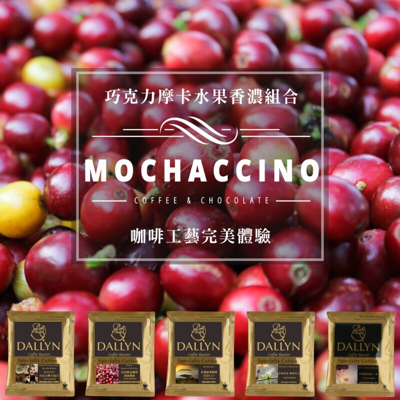 【DALLYN Coffee】 DALLYN 巧克力摩卡水果香濃風味 | 體驗5種咖啡