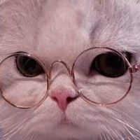 เล่นเกม