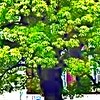 俺が京大を目指す部屋