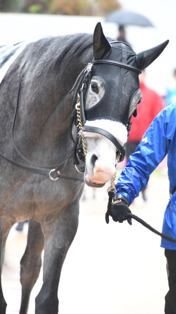 【一口馬主】ワラウカドのオープンチャット