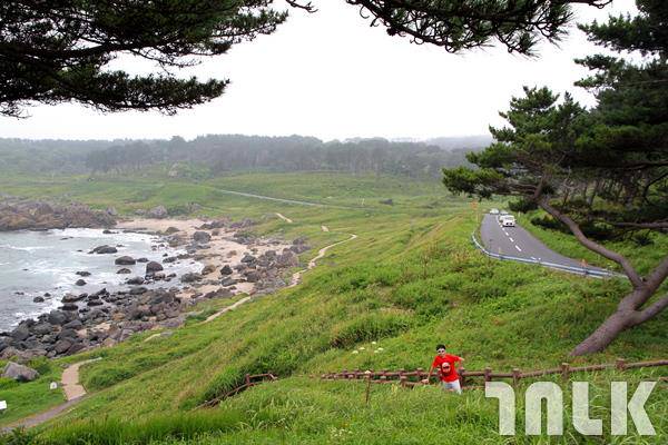 日本青森八戶 種差海岸 美景如畫 碧草如毯的種差海岸 旅遊滔客 Line Today