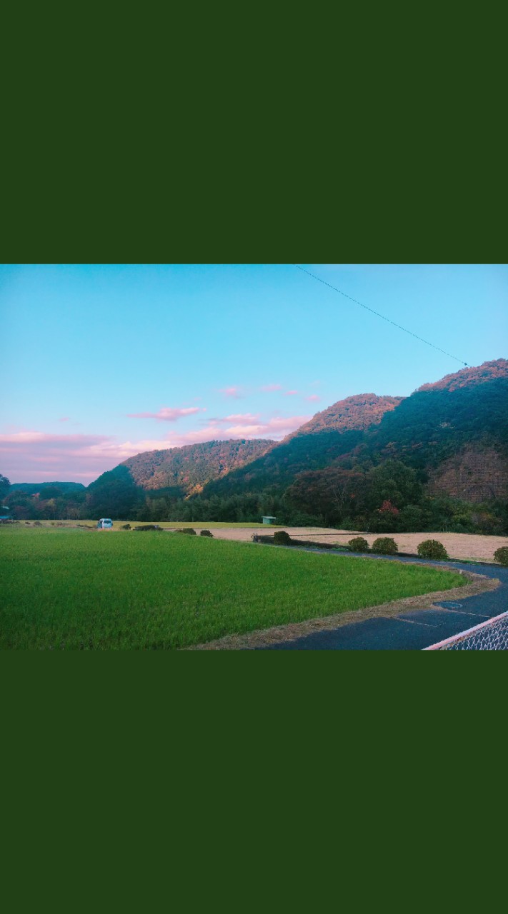 アークの秘密の花園(ネカマ🙅)のオープンチャット