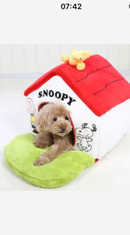 The Puppy Land 🐶