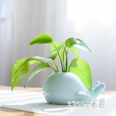 創意鯨魚大象青瓷小花瓶 家居水培陶瓷擺件 茶道花插時尚個性花器 XN1016【Sweet家居】