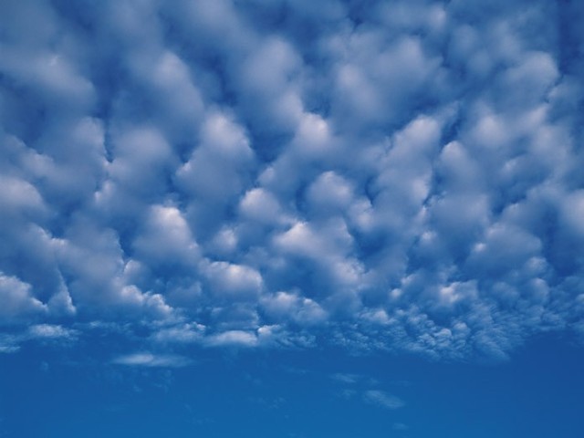 うろこ雲 さば雲 いわし雲 どれが正解か知ってる 秋の雲 の見分け方