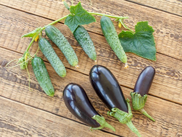 お盆になすやきゅうりを飾るのはなぜ ハルメク365