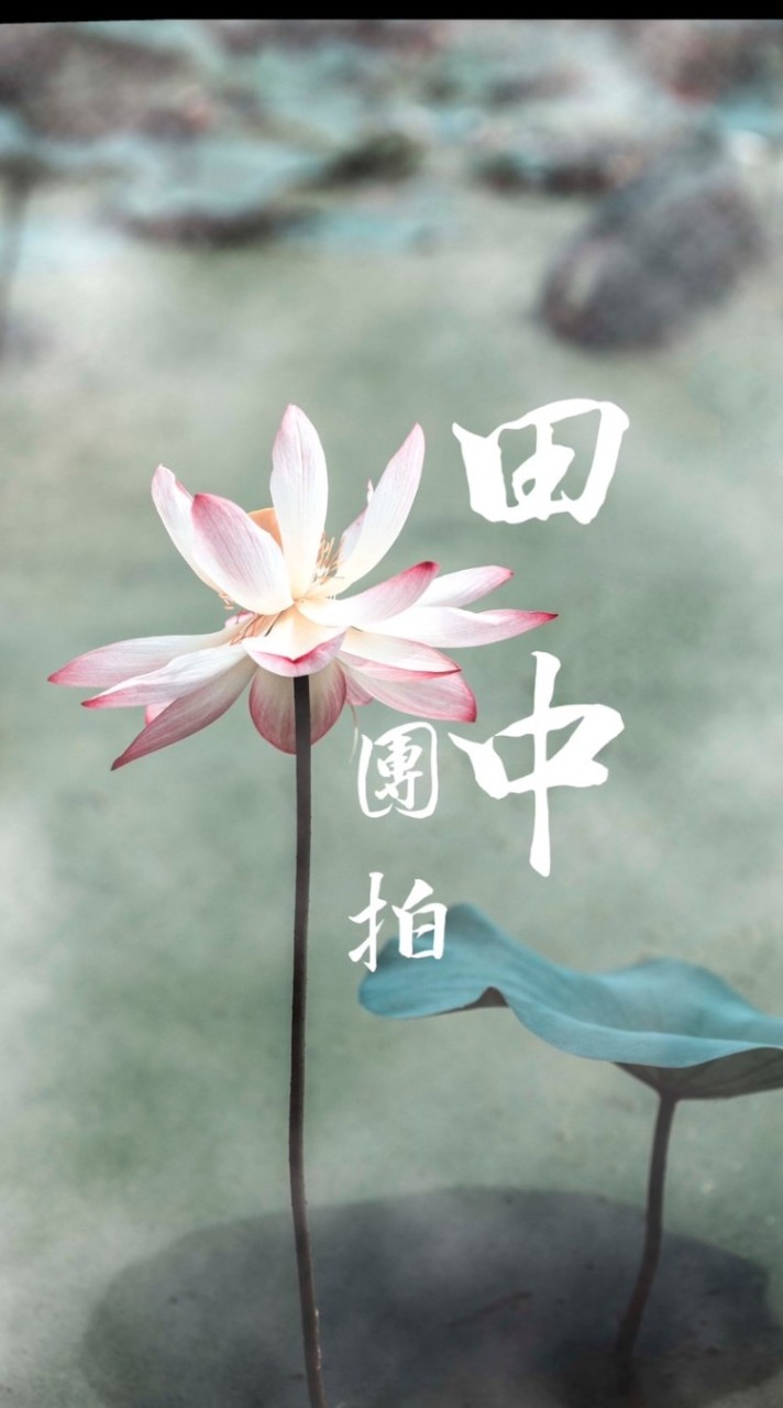 田中週日早上道家團拍社群