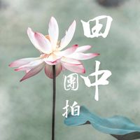 田中週日早上道家團拍社群