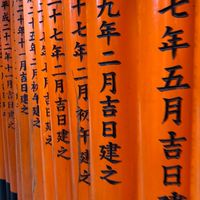 四舅舅，棒棒