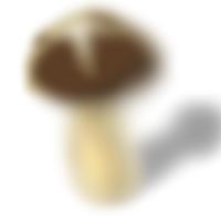 しいたけ(カービィ部の)部
