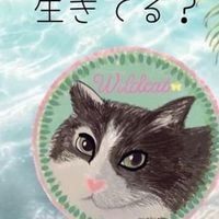 ワイルドキャット🐈ファンクラブ