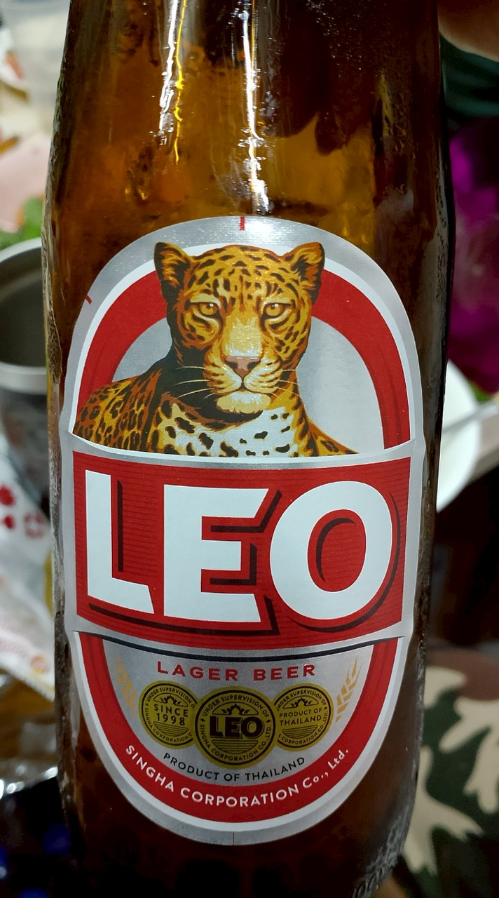 วัยรุ่น.ลีโอ[Leo]