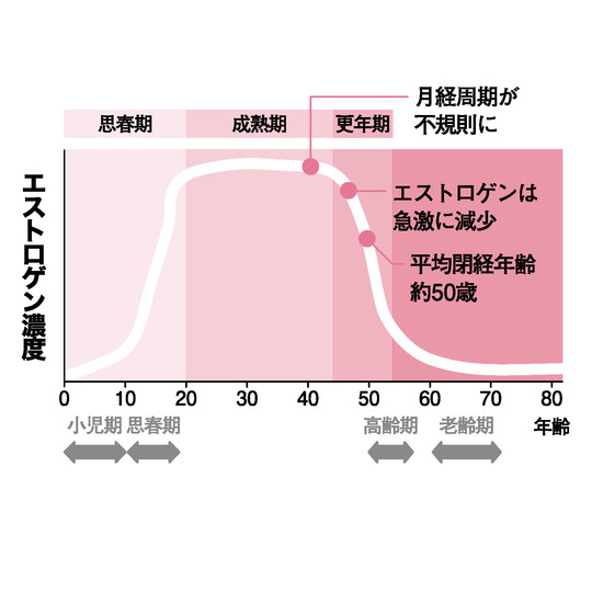 摂らなさ過ぎでもいけません 糖質offの7つの勘違い