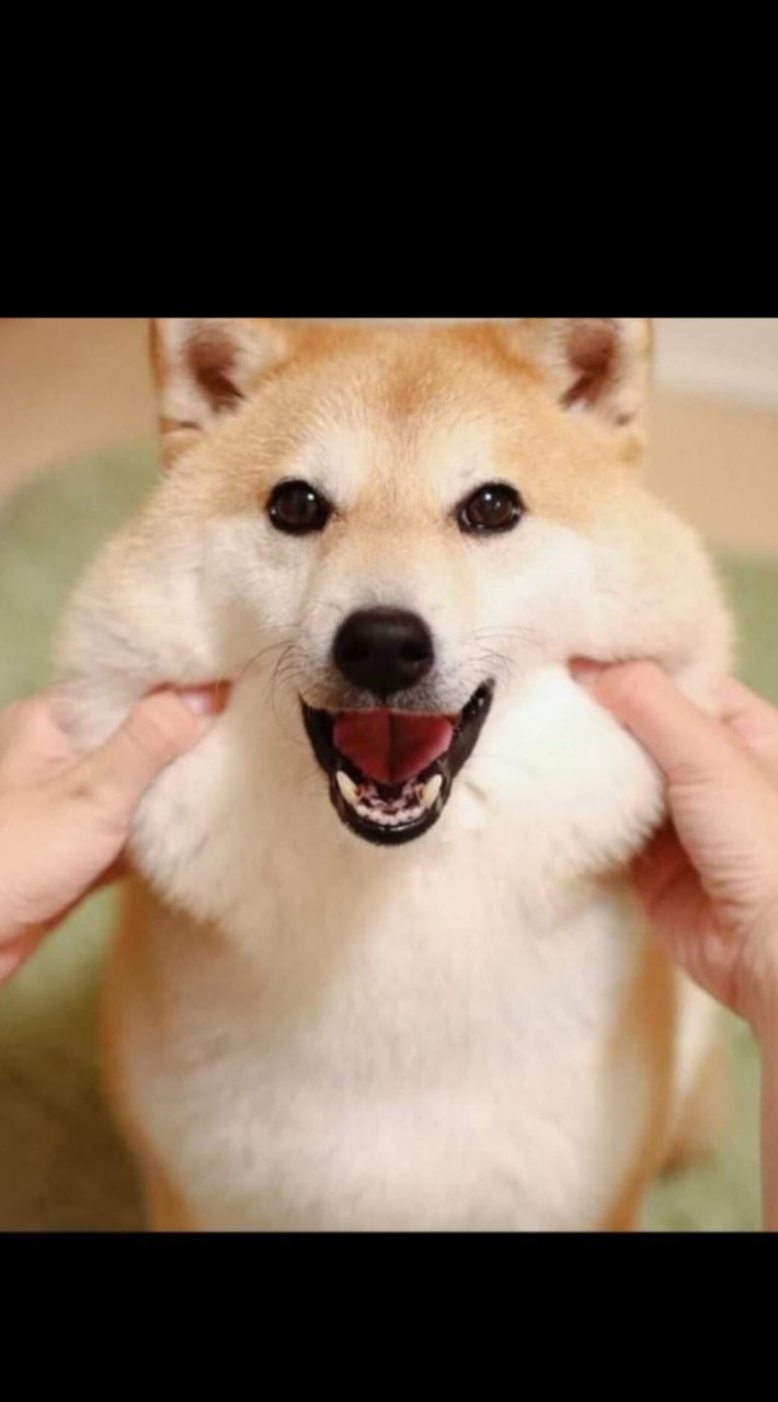戰界水藍色