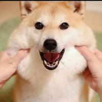戰界水藍色