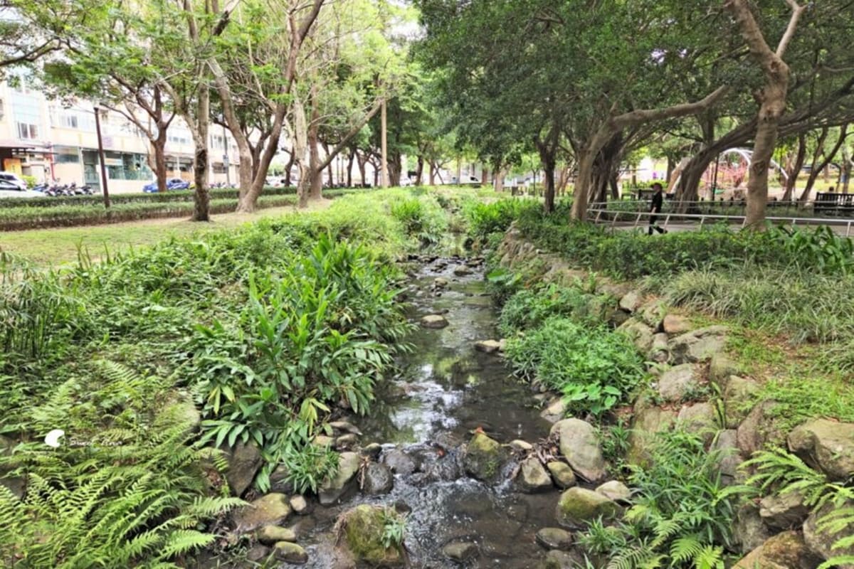 別只去故宮！士林６處「隱藏版景點」快衝：外雙溪祕境、IG暴紅「水中步道」
