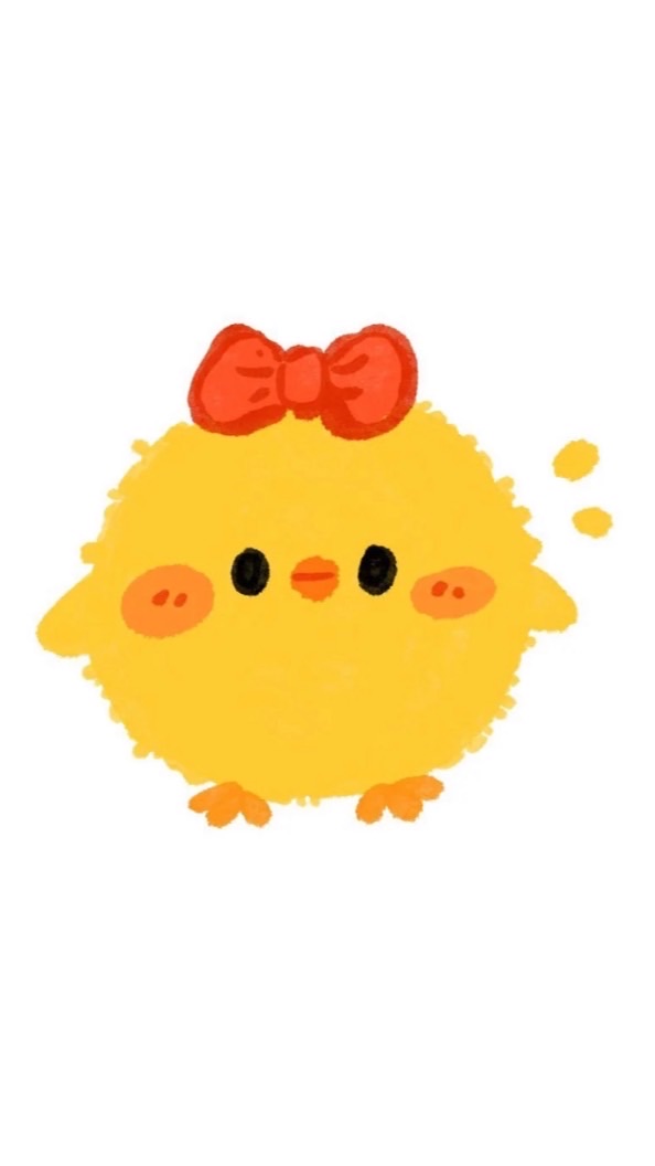 🐣毛圈圈🐣
