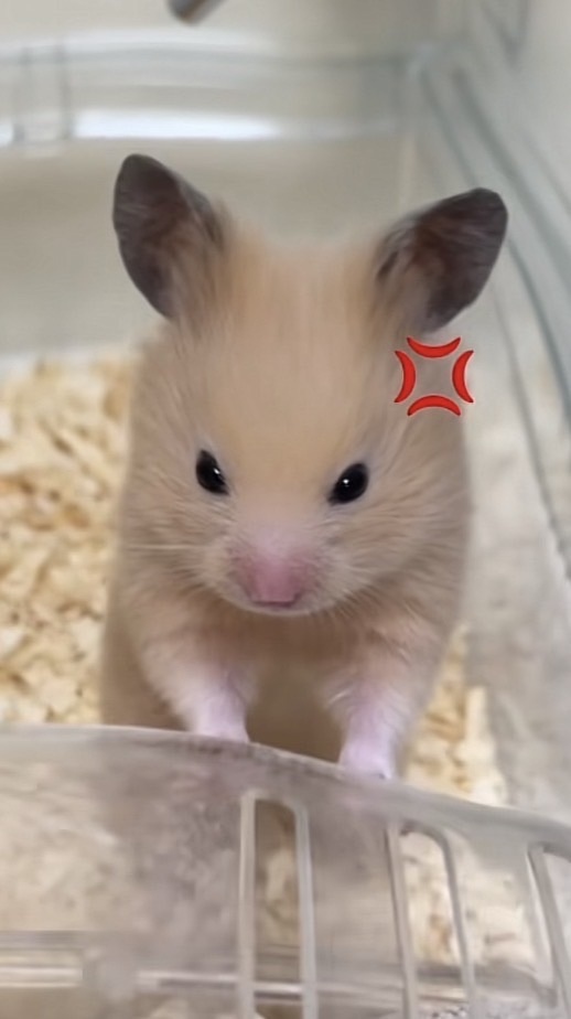 雑談