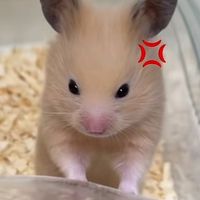 雑談