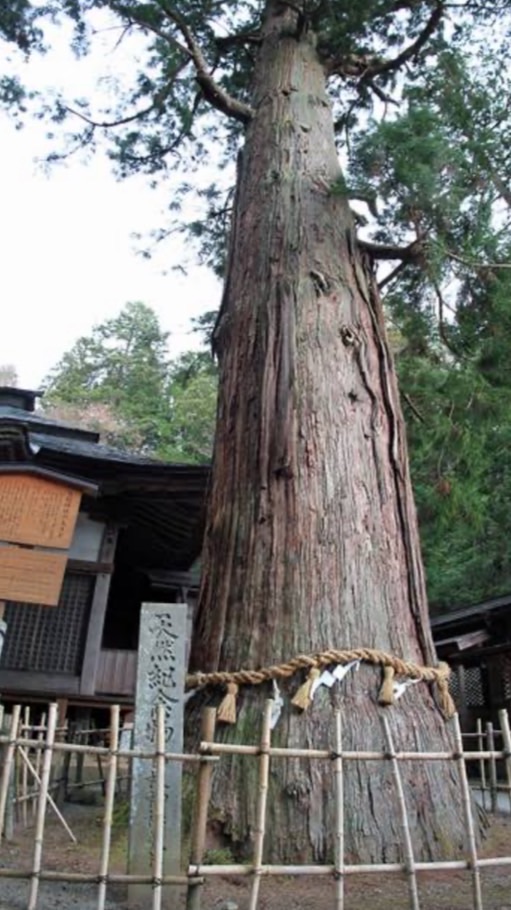 🌳岐阜県🌳ランチ＆イベント