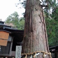 🌳岐阜県🌳ランチ＆イベント