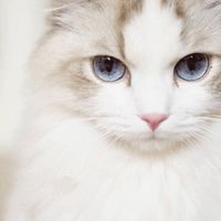 Taylor股票。期貨。選擇權。投資交易日誌