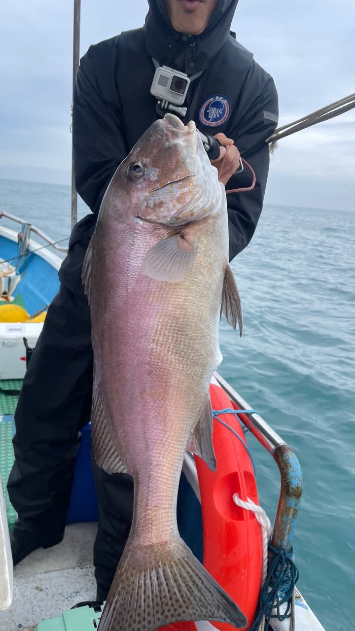 大福滿-漁獲社群