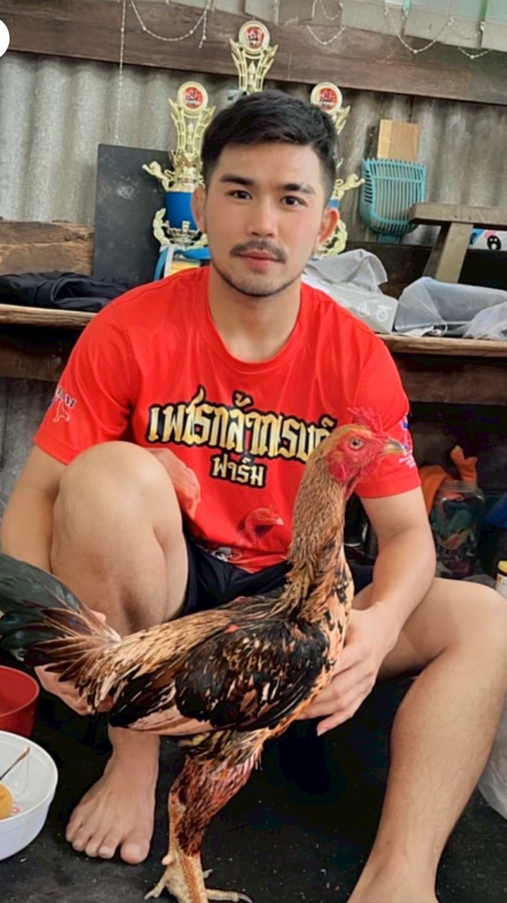 ซุ้มพระจันทร์ฉาย