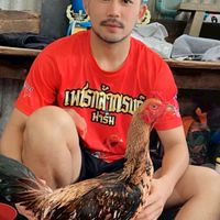 ซุ้มพระจันทร์ฉาย