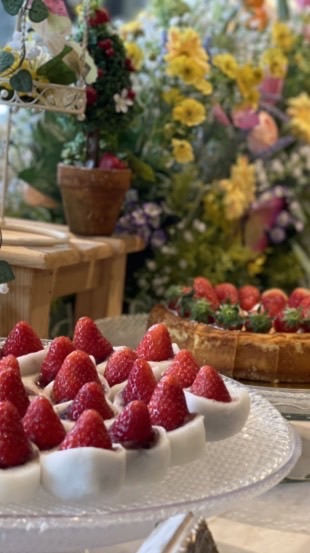 1都７県🌏関東🌐雑談🌐やさしい🍯🥨憩いのお部屋⚜️ライブトーク🎙️ランチ会