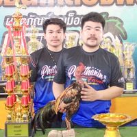 ต.เพชรธานินทร์
