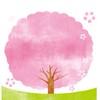 【熊本】お花見＆開花情報🌸写真＆スポット/ 桜 さくら 梅 ウメ 春