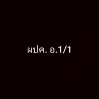 ผปค. อ1/1