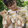 Corgi&Shiba4U