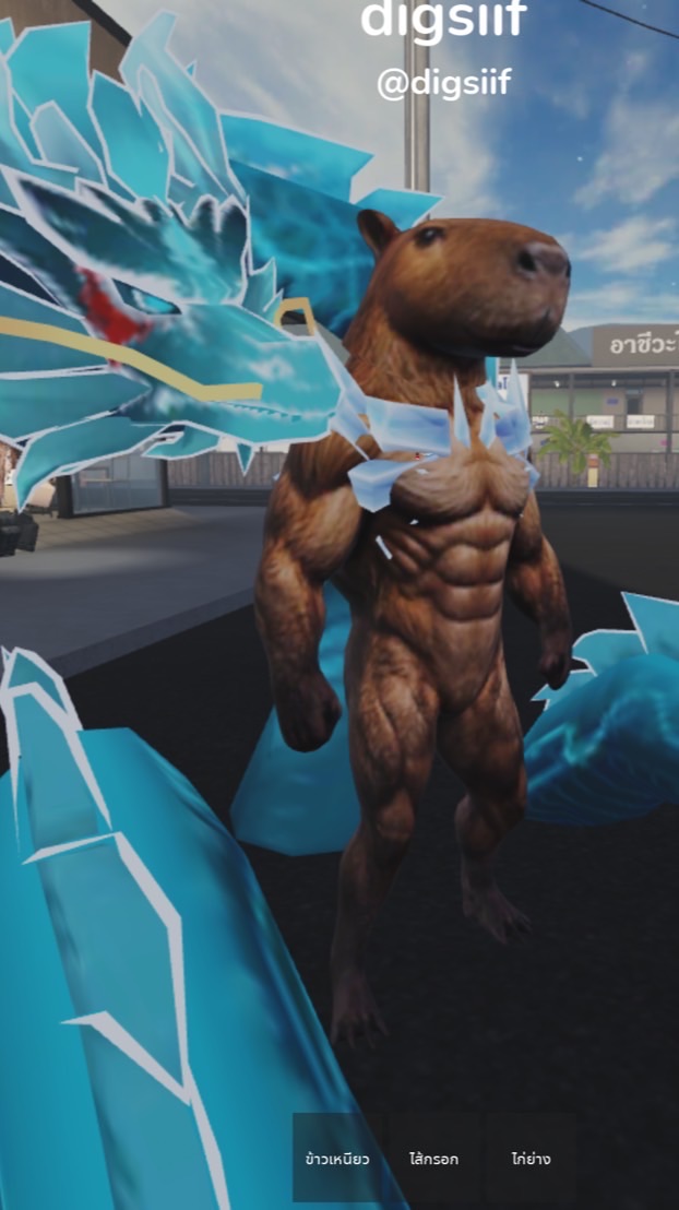 6.pm x Roblox