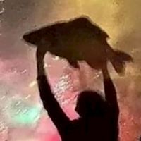 動物園🐾｜聊天/宣群/發瘋🧨