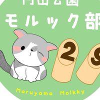 円山公園モルック部