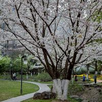 新市互助共好