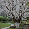 新市互助共好